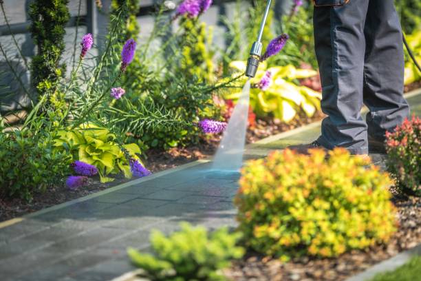 Best Driveway Pressure Washing  in Cloverleaf, TX