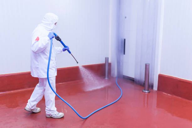 Best Sidewalk and Walkway Cleaning  in Cloverleaf, TX